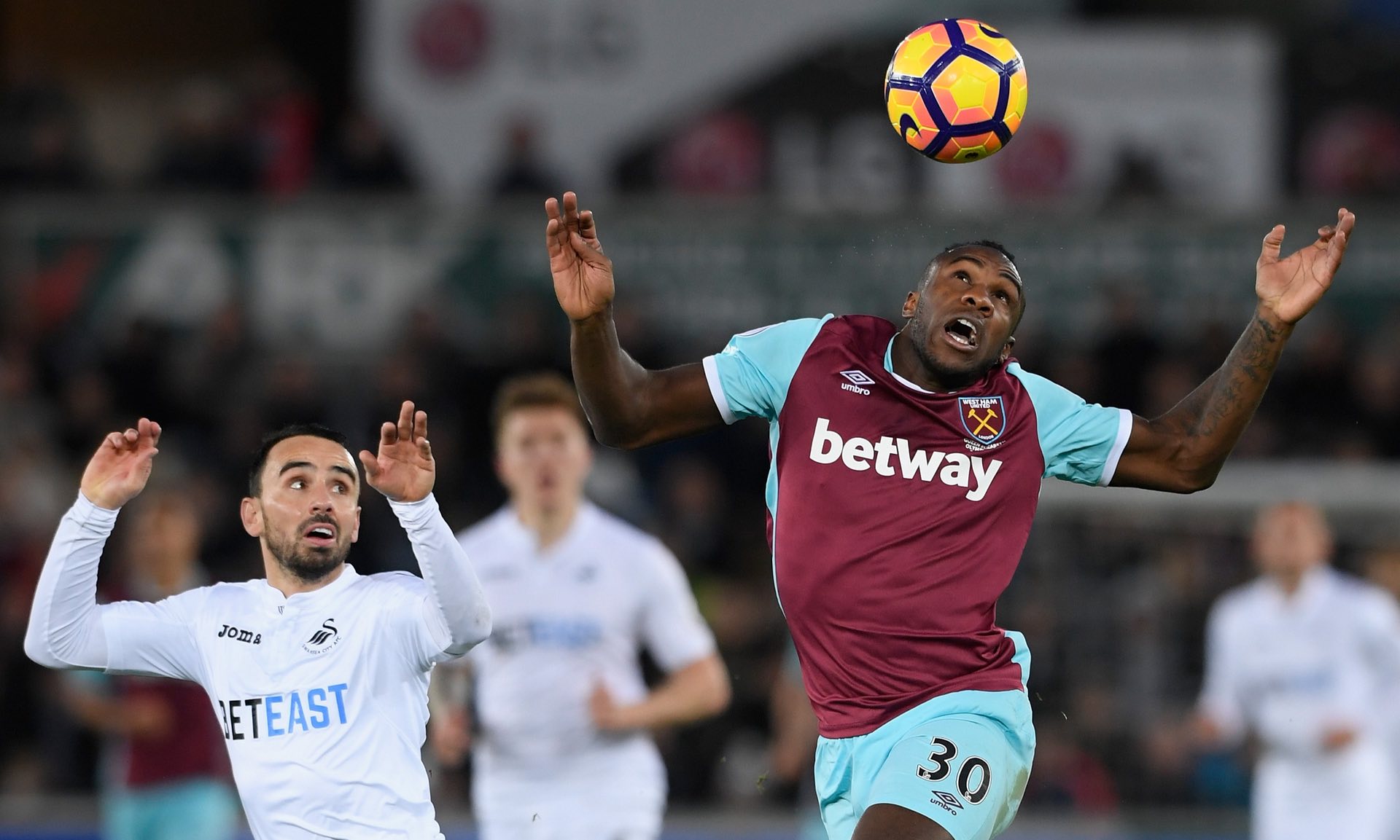 因以及展望 因以及展望